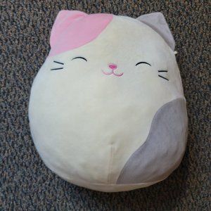 Charlotte the Pink and Purple Calico Cat Squishmallows Dated 10/2017